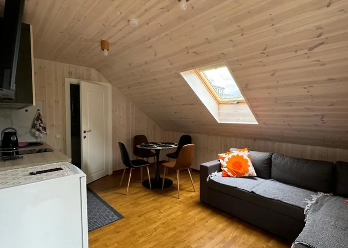 Kopa Гостьовий будинок 3*